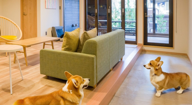 Номер Standard Rakuten STAY VILLA Nasu
