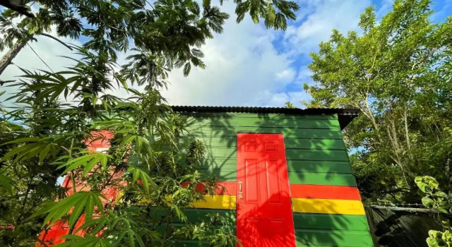 Одноместный номер Economy Judy House Cottages and Rooms
