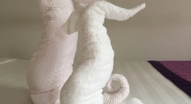 Номер Superior Pink house Homestay