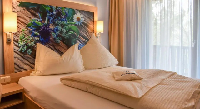 Номер Standard Landhotel Schnupp