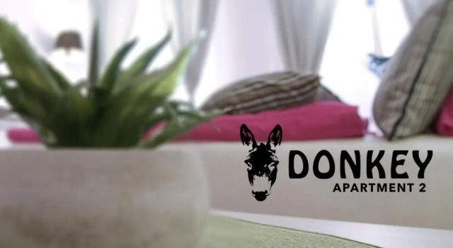 Apartament Donkey 2