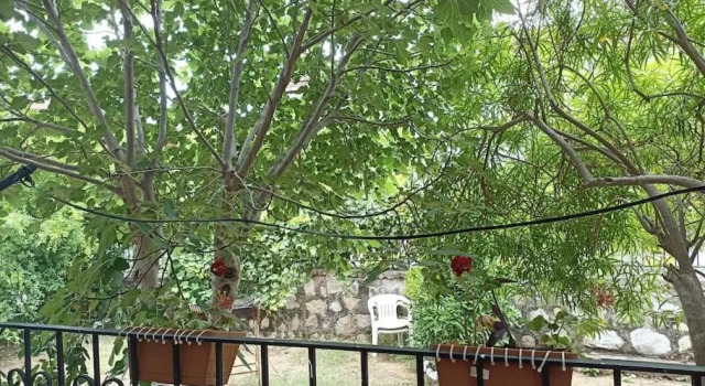 Denize 10 dk, ağaçlar içerisinde muhteşem villa, Rezerwuj Willa Wille w Beldibi, Willa