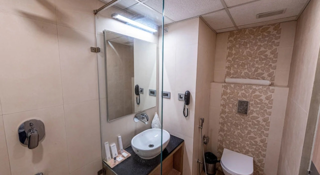 Номер Executive The Elite Lucknow