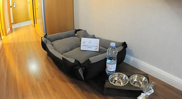 Номер Luxury Bristol Santo André ABC São Paulo