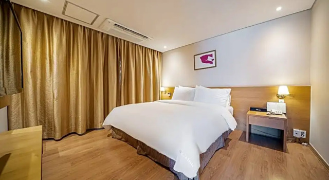 Люкс Hotel Biz Inn
