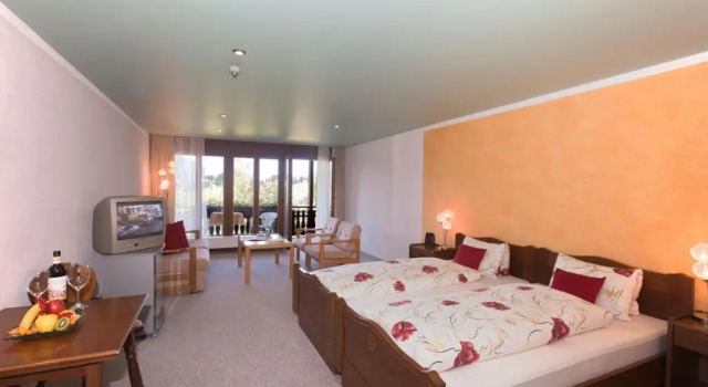 Номер Standard Hotel Arvenbüel