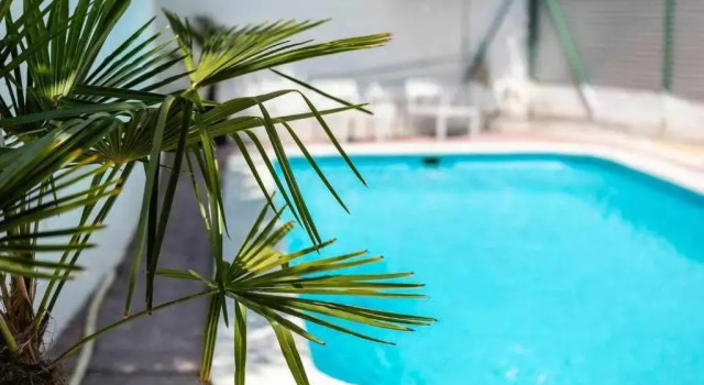 Двухместный номер Standard Newly renovated room w Pool & BikeParking