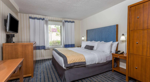 Двухместный номер Standard Wyndham Garden Manassas