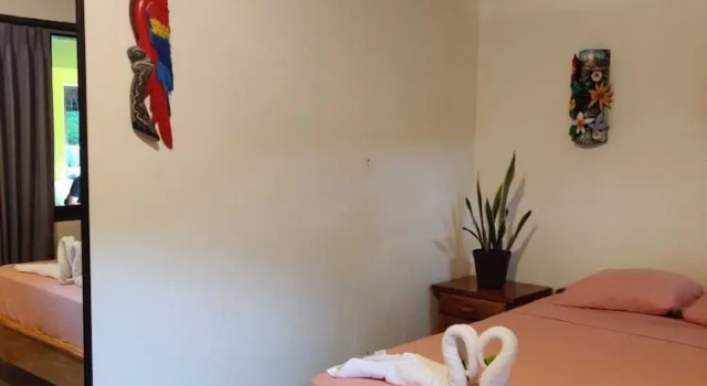 Номер Classic Cabinas Pura Vida B&B and Tour Operator
