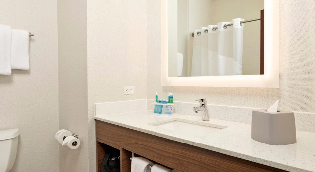 Четырёхместный люкс Holiday Inn Express Hotel & Suites Conroe I-45 North by IHG