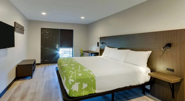 Номер Premium The Shamrock
