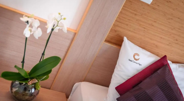 Апартаменты Superior Hotel Corvus Aqua