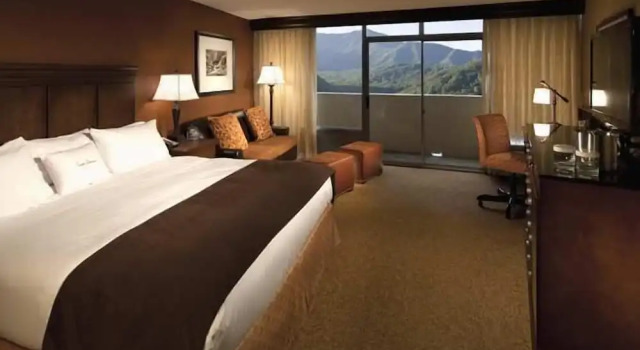 Двухместный номер с балконом и с видом на город The Park Vista - a DoubleTree by Hilton Hotel - Gatlinburg