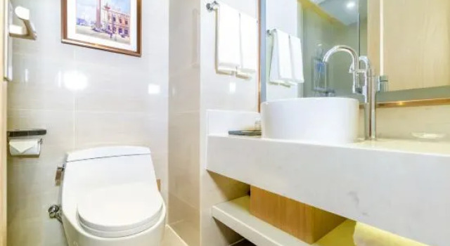 Люкс Deluxe Vienna Hotel (Chongqing Hechuan Fortune Plaza)
