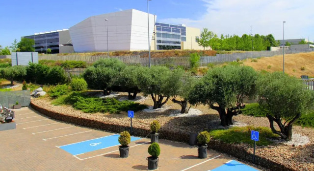 Трёхместный номер Standard Hotel Ciudad de Móstoles