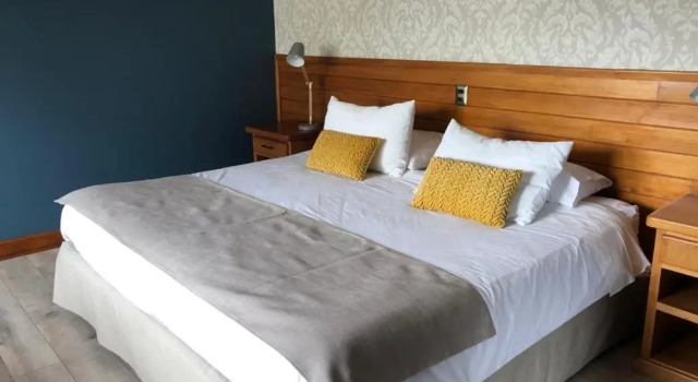 Двухместный номер Executive Hotel Puelche