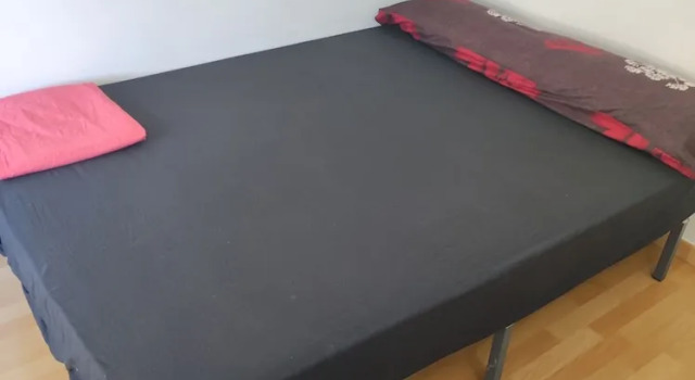 Номер Standard HIDALMEN Arte Rupestre