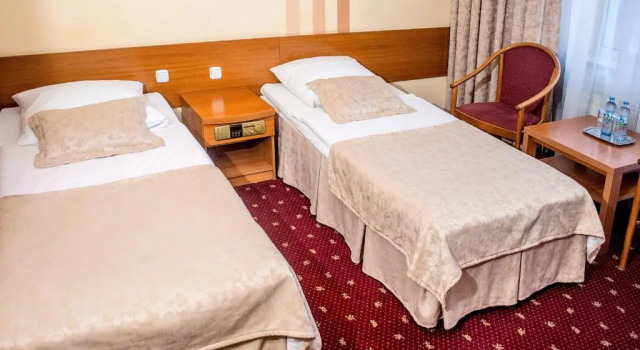 Двухместный номер Standard Hotel Delicjusz