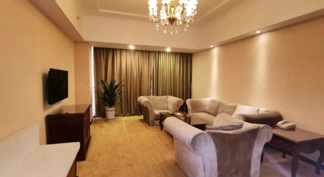 Люкс Executive Vienna Hotel Xinyu Fenyi South Changshan Road Branch
