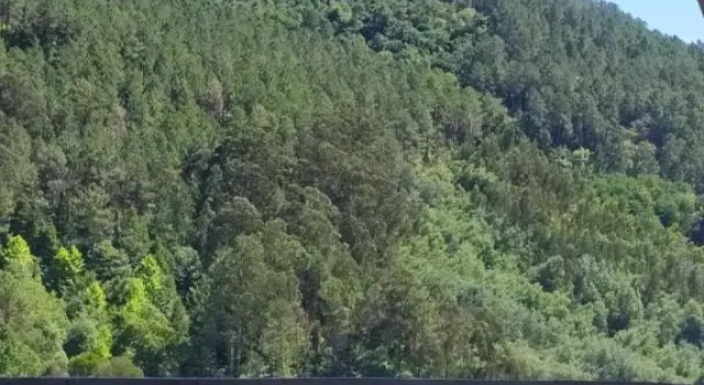 Gerês Guest House, Забронировать Отель Жереш Пенеда-Жереш, рядом с Смотровая площадка Педра-Бела