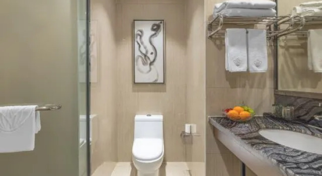 Люкс Premier Rhine Jasmine Holiday Hotel Liuyang