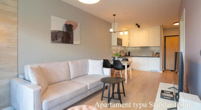 Люкс Standard RentPlanet - IzerSKI Resort