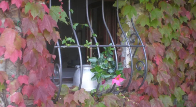 Номер Standard Agriturismo Podere Torre