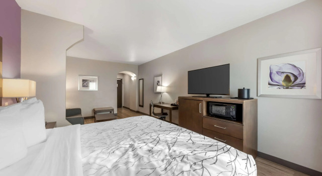 Двухместный люкс Best Western Plus Buda Austin Inn & Suites
