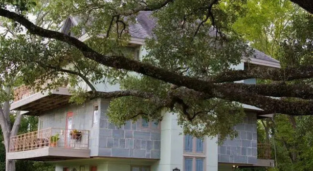Abigaile's Treehouse, Buchen Sie Hotel Bryan Texas