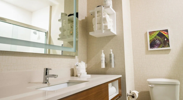 Двухместный номер с балконом Hampton Inn New Orleans French Quarter Market Area