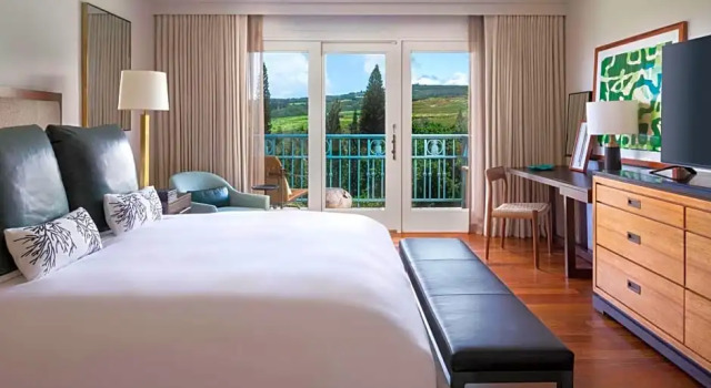 Двухместный номер The Ritz-Carlton Maui, Kapalua