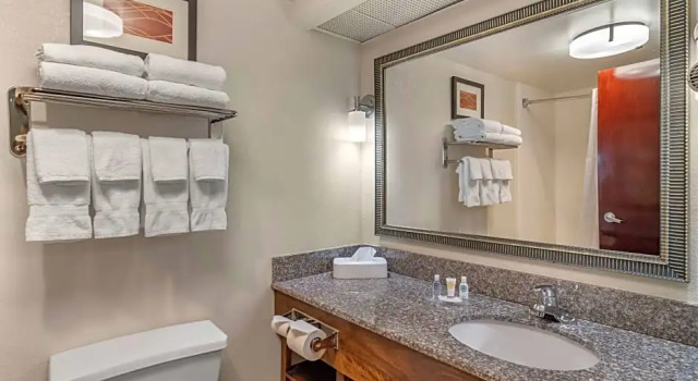 Четырёхместный люкс Comfort Inn & Suites Athens North