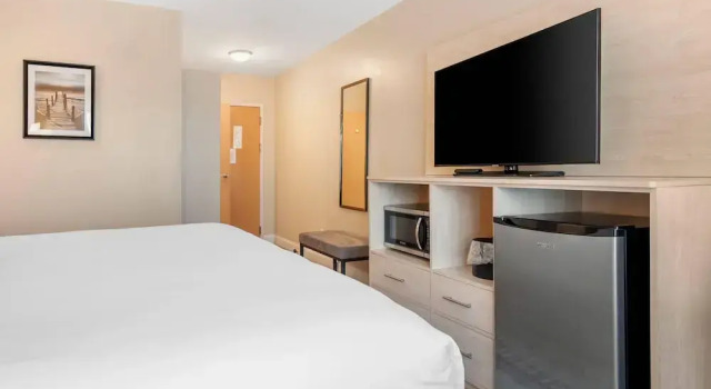 Номер Deluxe Casco Bay Hotel Portland Airport - Maine Mall, an Ascend Collection Hotel