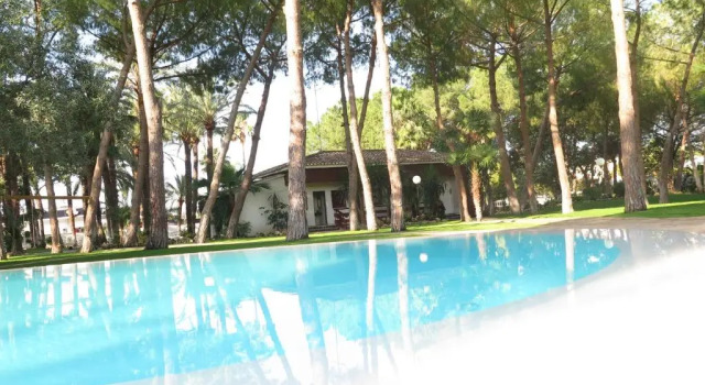 Вилла с 2 комнатами El Oasis Villa Resort