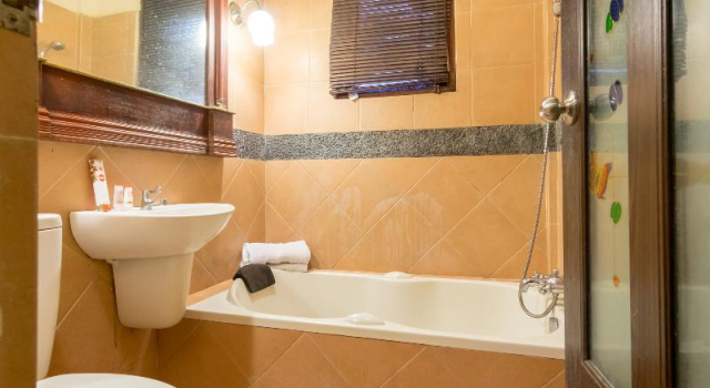Люкс Deluxe OYO 994 Huber Apartment