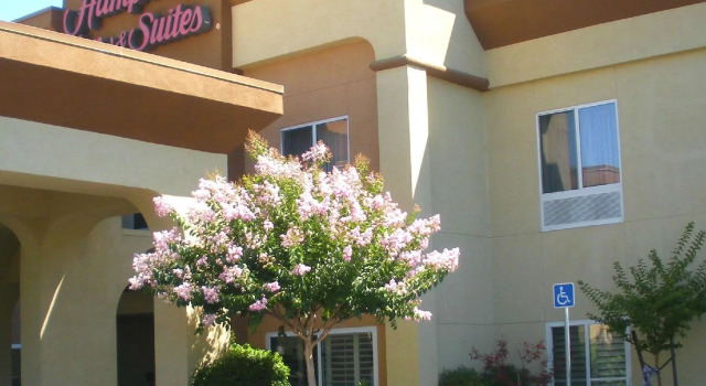 Четырёхместный люкс Hampton Inn & Suites Sacramento-Cal Expo