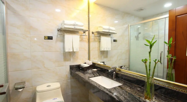 Двухместный номер Deluxe BORRMAN Hotel
