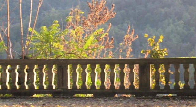 Vigna Il Merlo, Varaa Hotelli Torino Piemonte