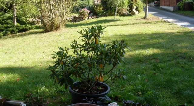 Appartamento Waldblick