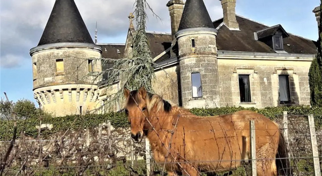 Chateau de la Grave