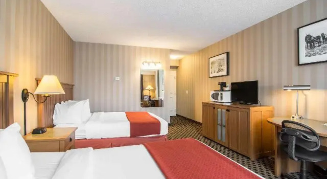 Одноместный номер Standard Quality Hotel