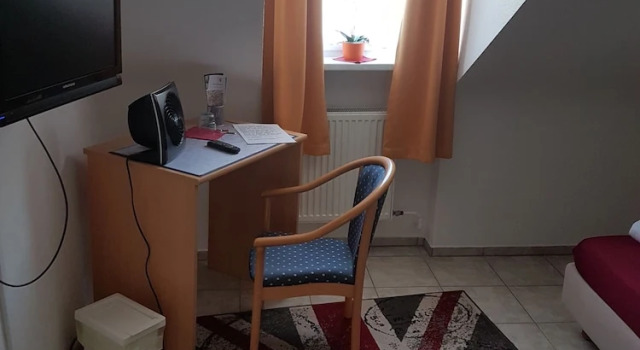 Одноместный номер Standard Hotel Schweizer Stubb