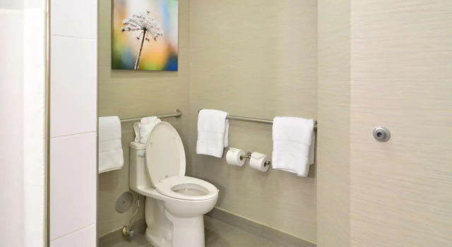 Люкс Embassy Suites by Hilton Denver Central Park