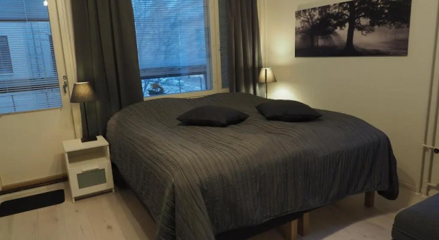 Apartment Oulu station suite