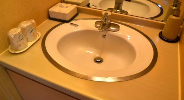 Номер Standard Akita Onsen Plaza