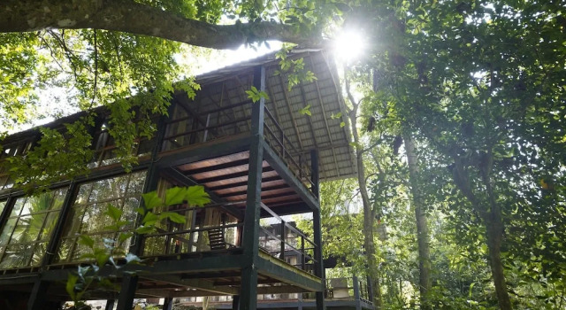 Номер Deluxe Clio Ella Resort