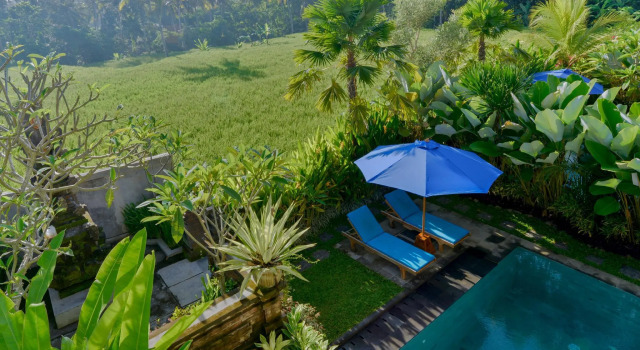 Вилла с 2 комнатами Dewi Sri Private Villa