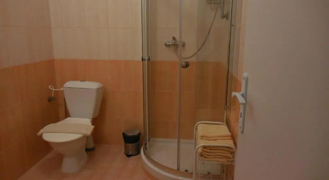 Номер Standard Penzion Tisuvka