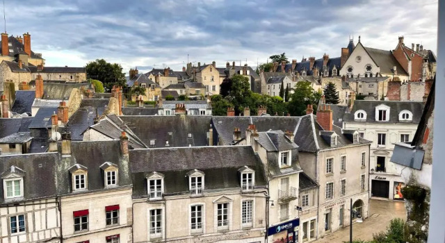☆ Sur les toits de Blois ☆ T2 avec vue Château, Забронировать Апартаменты/квартира Апартаменты Блуа, рядом с Office de Tourisme de Blois Chambord, Апартаменты/квартира