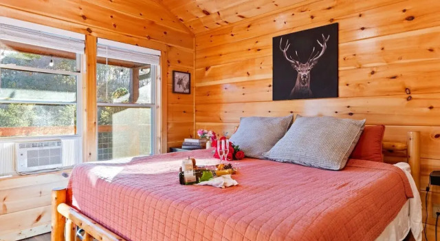 Номер Comfort Smokies Couple Getaway